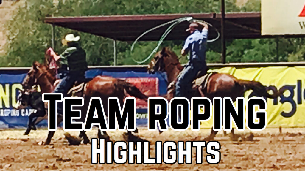 team-roping-action-two-cowboys-calf