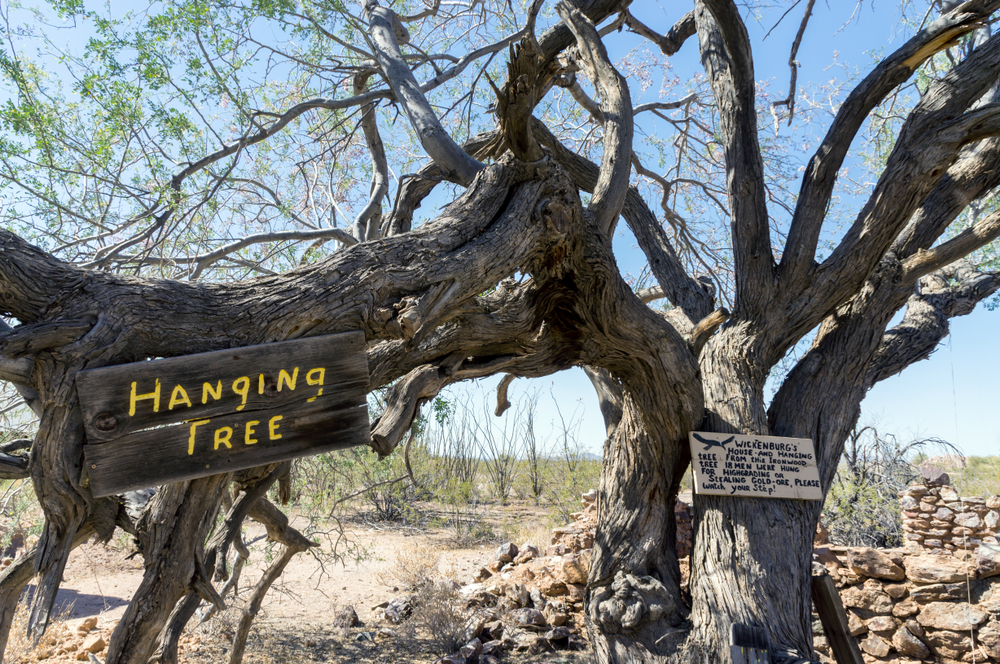 Hanging-Tree-Vulture-Mine-Wickenburg-Arizona