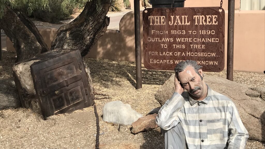 wickenburg-arizona-historic-jail-tree