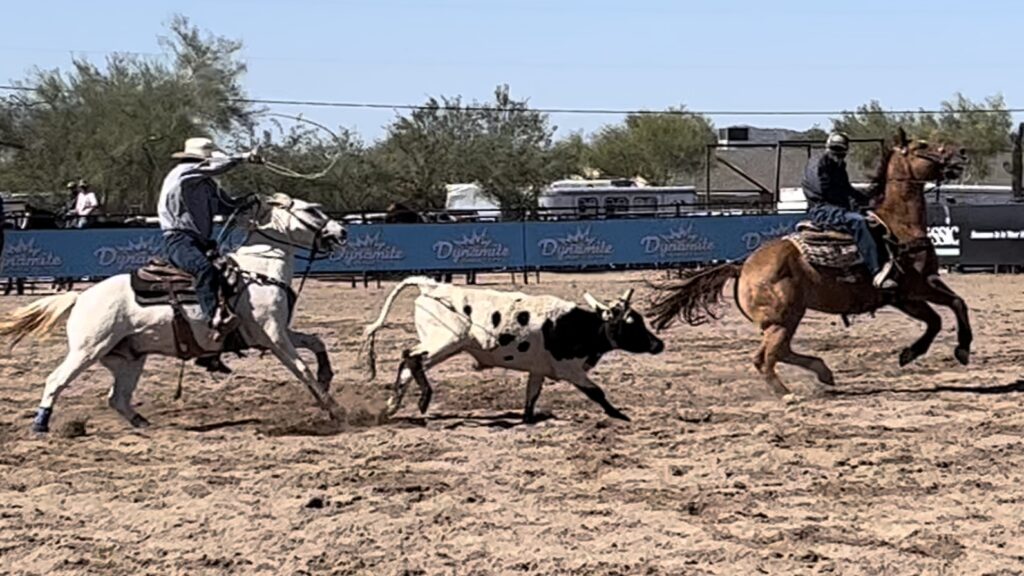 Dynamite Arena - Team Roping Arizona