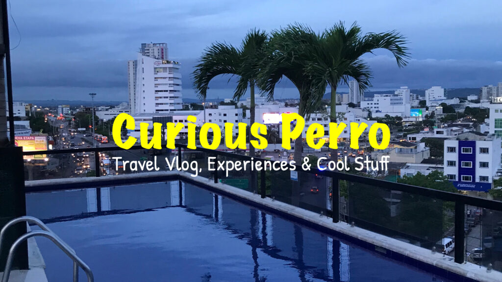 Curious Perro Intro Image Cartagena