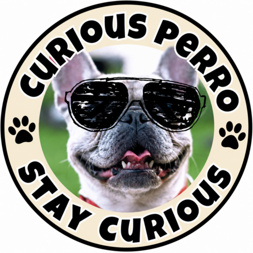 Curious Perro